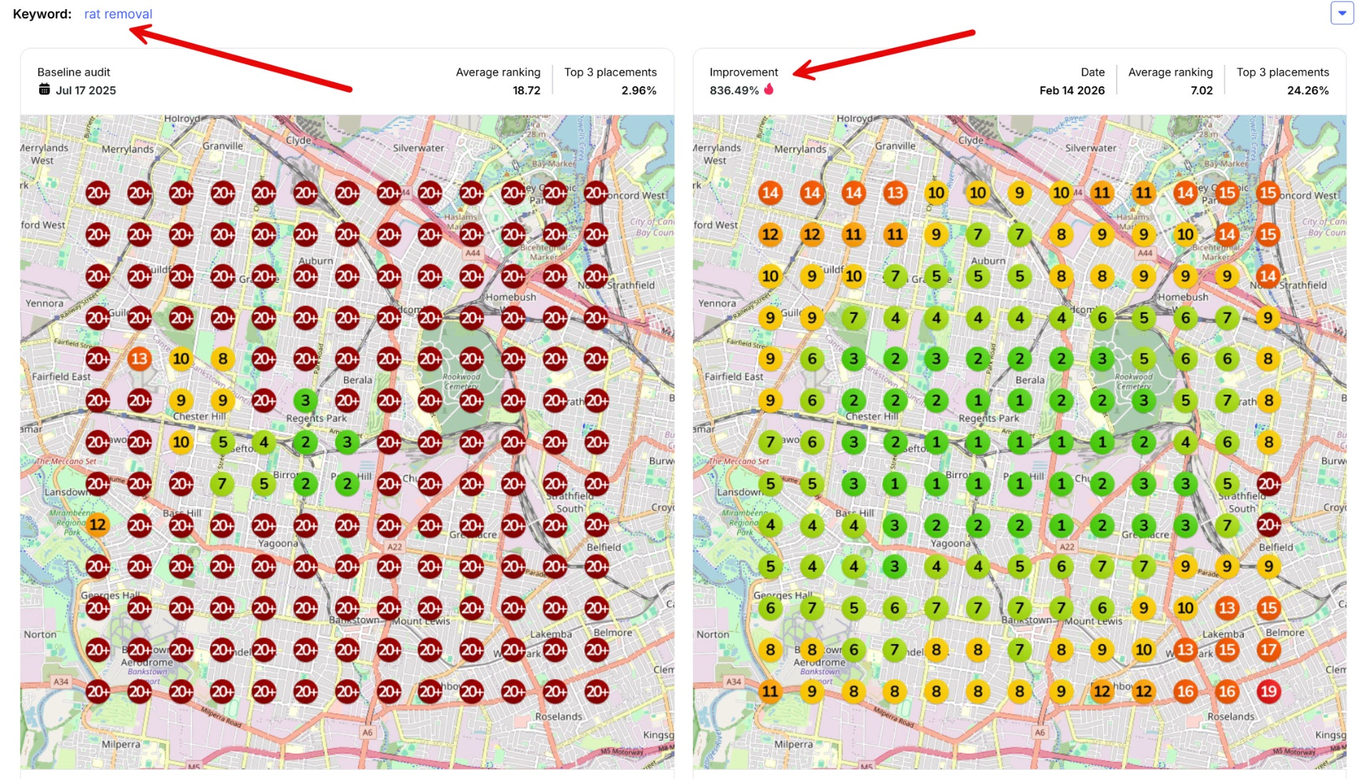 Rat removal SEO ranking — 836% improvement